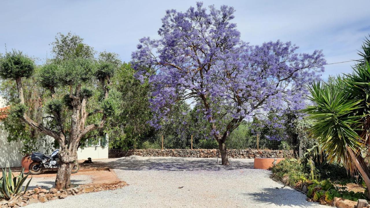 Rural Peace In The Algarve - Private Room With Kitchenette And Bathroom Aldeia dos Matos المظهر الخارجي الصورة